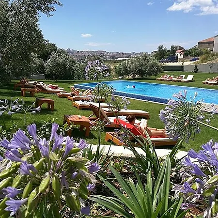 Hotel Palace 4*